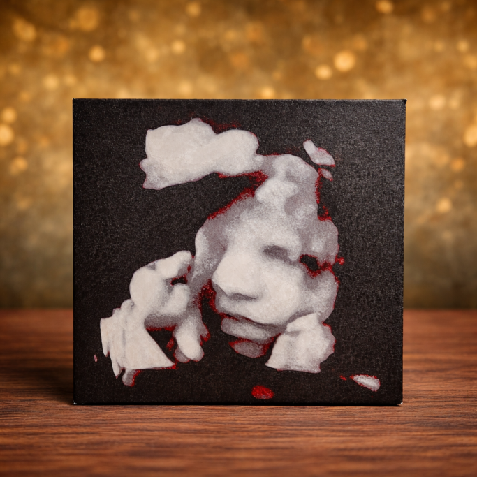 3D Printed Sonogram 3D printed baby Sonogram with black white and red accents.